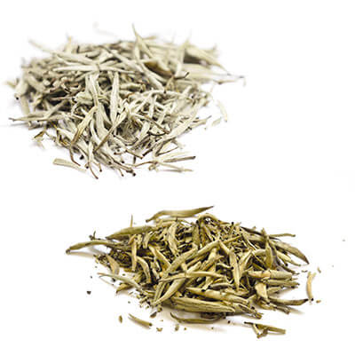 unterschiedliche-silver-needle-typen