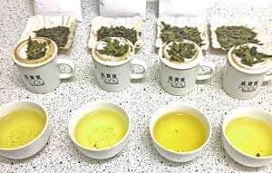teatasing
