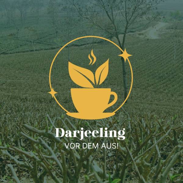 Darjeeling-in-Not