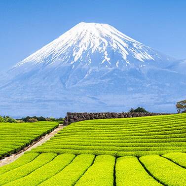 kobu-teeversand-teeblog-32-Japan