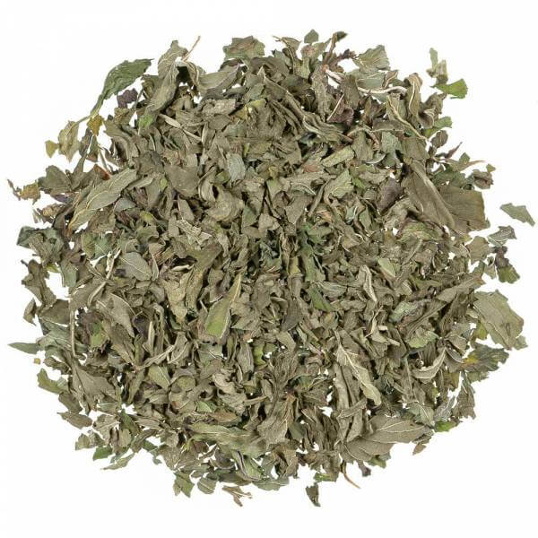 BIO Kräutertee »Pfefferminze« Floragold Pyramiden-Teebeutel